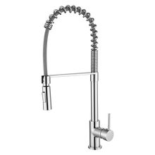 Kasper Spring Multi-Function Kitchen Mixer