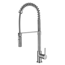 Kasper Spring Multi-Function Kitchen Mixer