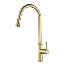 Montpellier Pull Out Kitchen Mixer