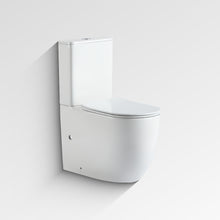 Pala Raised Height Tornado Flush Back to Wall Toilet Suite