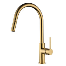 Star Mini Pull Out Kitchen Mixer