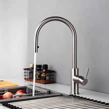 KOVA Gooseneck Kitchen Mixer with POA