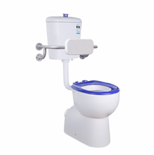 Calla Disable P-Trap Toilet Suite