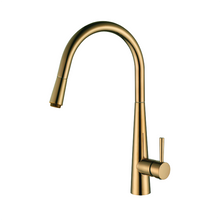 Kasper Pull Out Kitchen Mixer