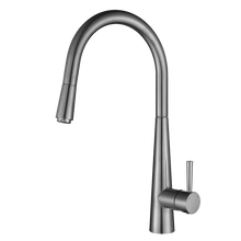 Kasper Pull Out Kitchen Mixer