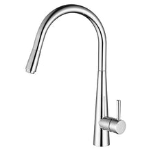 Kasper Pull Out Kitchen Mixer